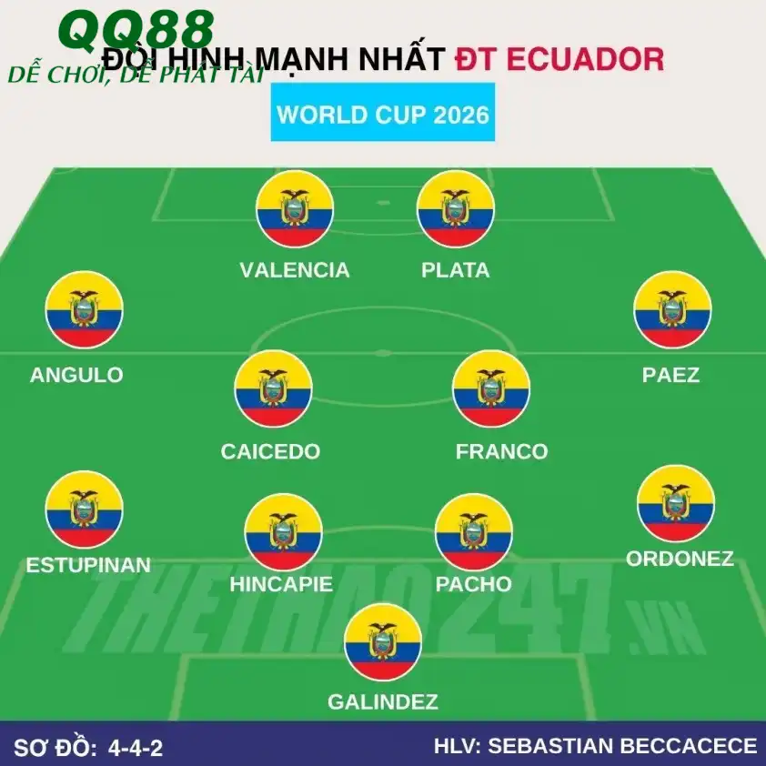 Ecuador với bộ khung phòng ngự vững chắc. Đội hình dự kiến Ecuador